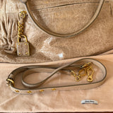 Miu Miu bag