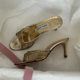 Manolo Blahnik mules (35.5)