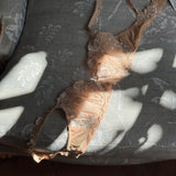 La Perla bra (70 B)